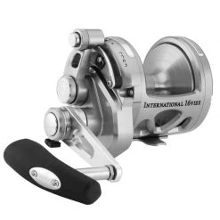 PENN International® 16VISX 2-Speed Conventional Reel, Silver