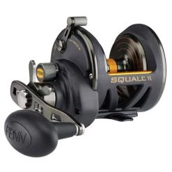 PENN Squall II 25N Star Drag Conventional Reel